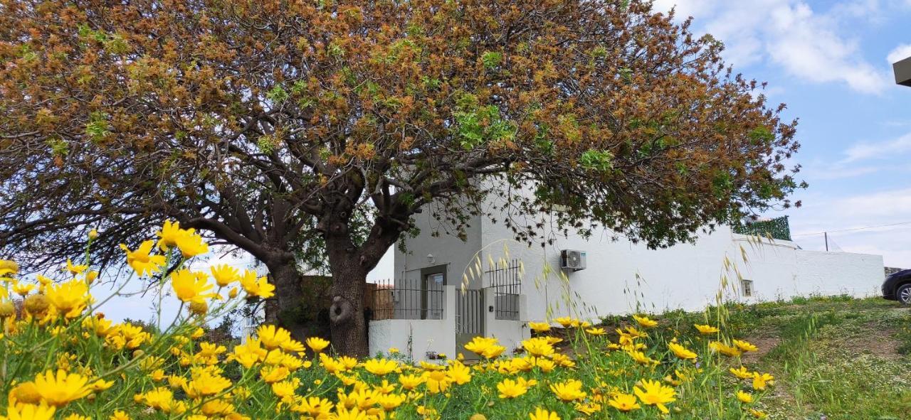 Traditional Suburbs Maisonette Kos Exterior foto